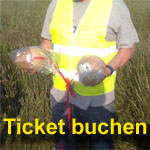 Pyrotechnik Workshop Ticket buchen